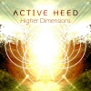 ACTIVE HEED - Higher Dimensions
