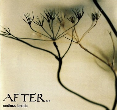 AFTER... - Endless Lunatic