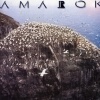 AMAROK - Amarok