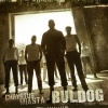 Buldog - 2010 - Chrystus Miasta