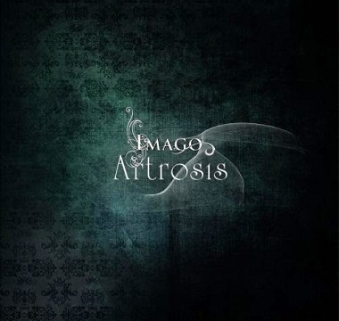 ARTROSIS - Imago