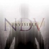 nick-d-virgilio-invisible