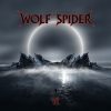 Wolf Spider VI